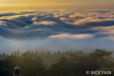 Fog River
© Nick Fain